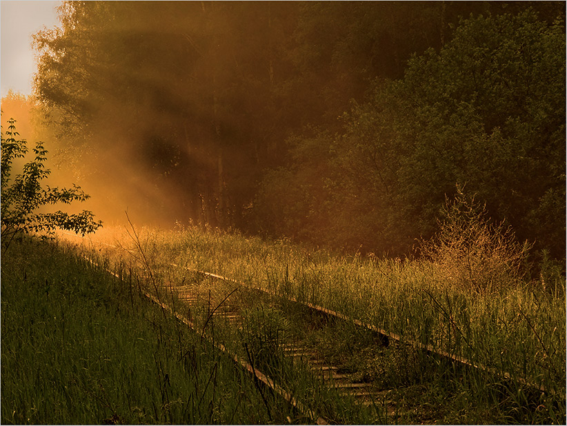 photo "***" tags: landscape, summer, sunset