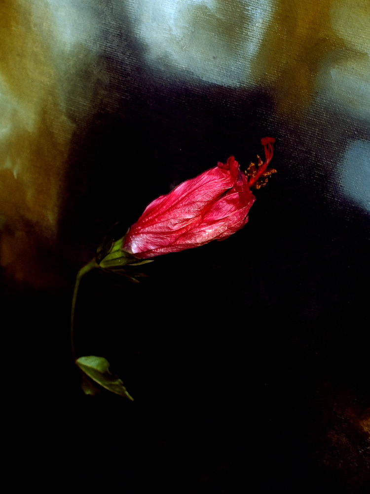photo "***" tags: still life, 