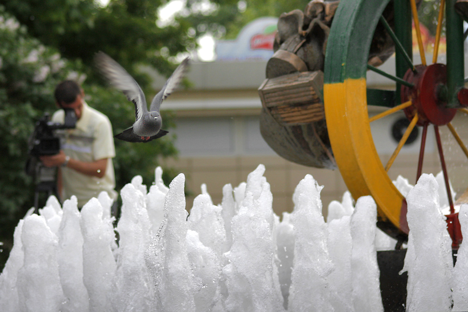 photo "Flight of the pigeon." tags: genre, 