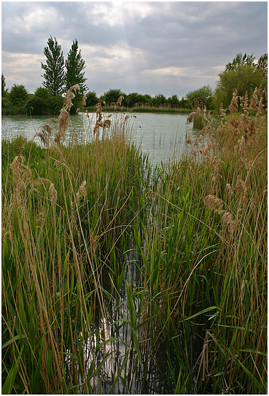 photo "***" tags: landscape, water