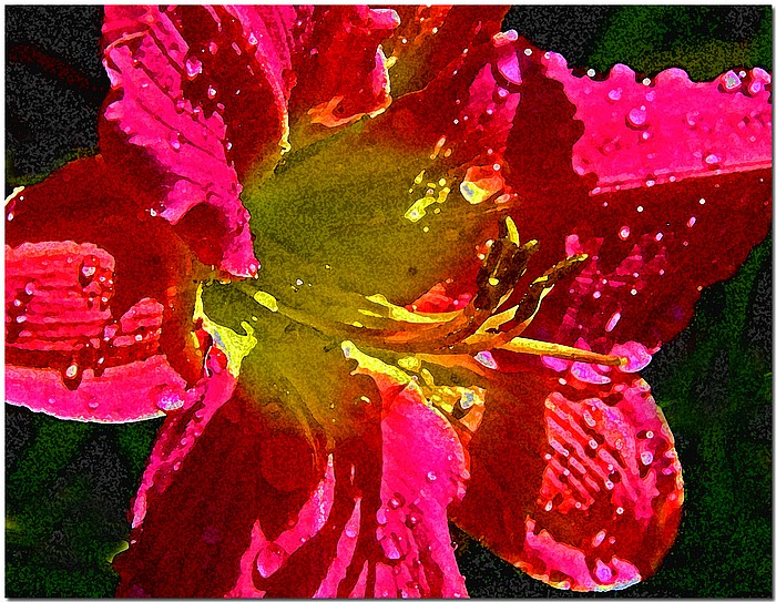 photo "Painted Lady" tags: macro and close-up, nature, flowers