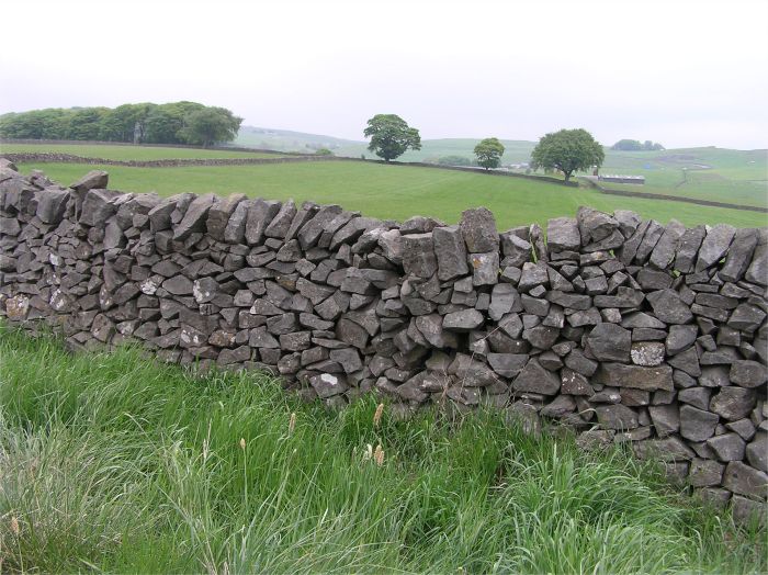 фото "Англия встречает лето.." метки: пейзаж, 