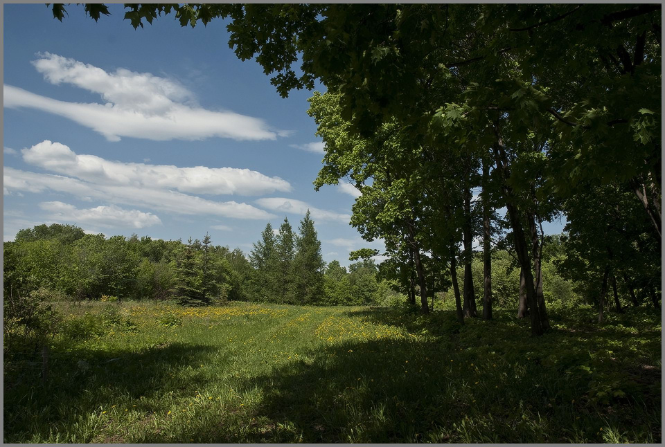 photo "***" tags: landscape, summer