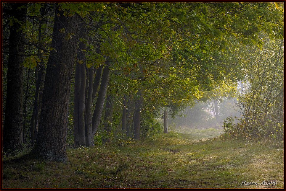 фото "***" метки: пейзаж, природа, лето, цветы