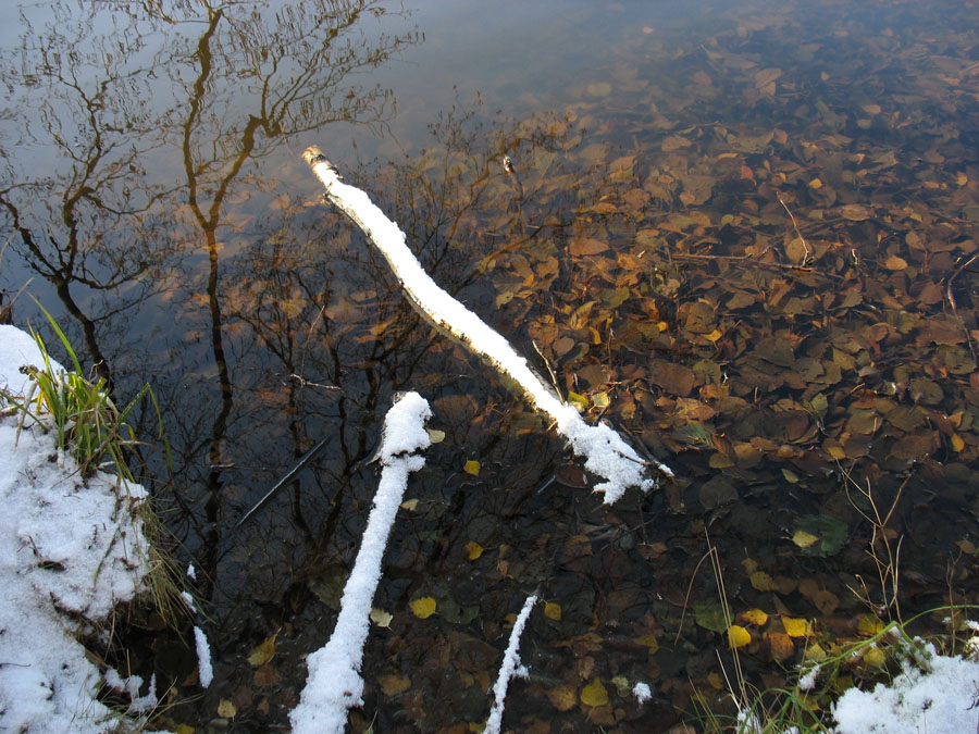 photo "***" tags: landscape, autumn, water