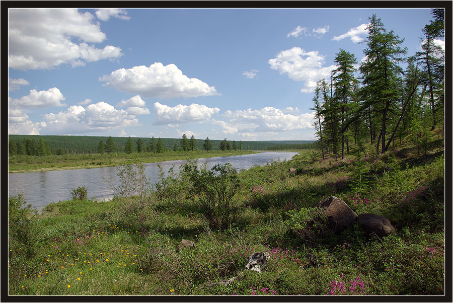 фото "Река Далдын" метки: пейзаж, лес, лето