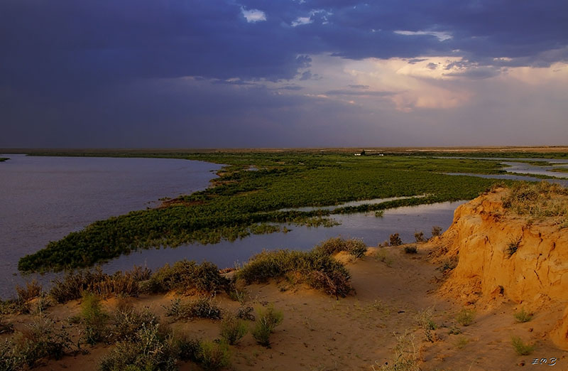 фото "***" метки: пейзаж, вода, лето