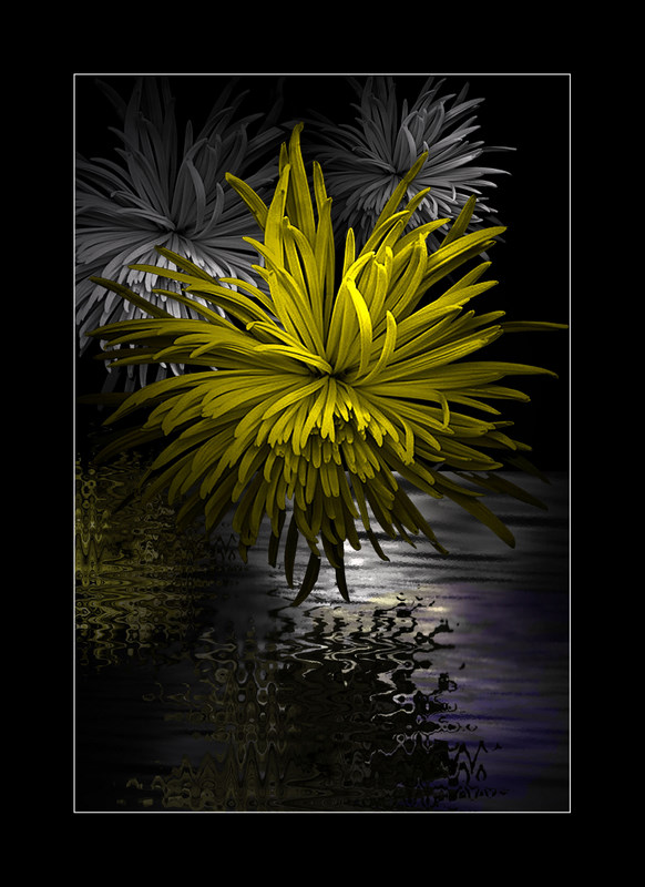 photo "Oasis..." tags: digital art, macro and close-up, 