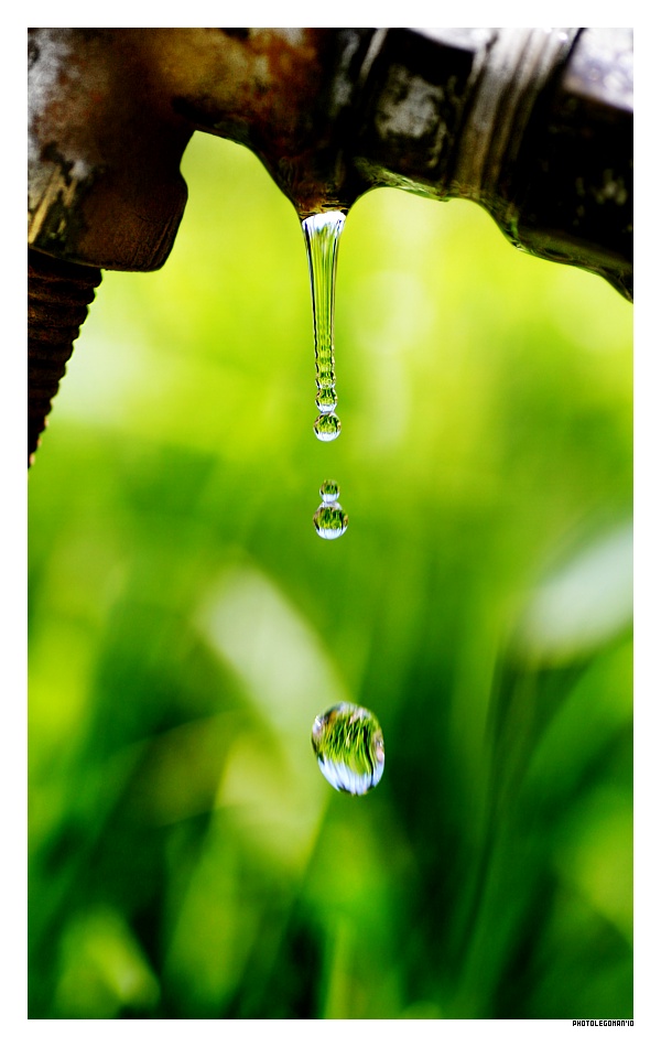 photo "Still Water" tags: macro and close-up, 