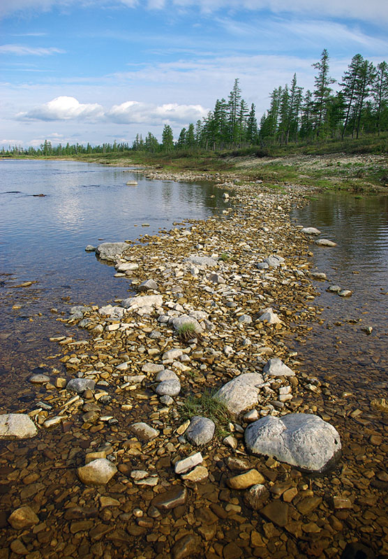 photo "***" tags: landscape, summer, water