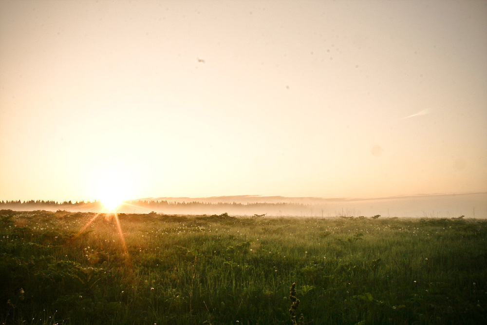 photo "***" tags: landscape, summer