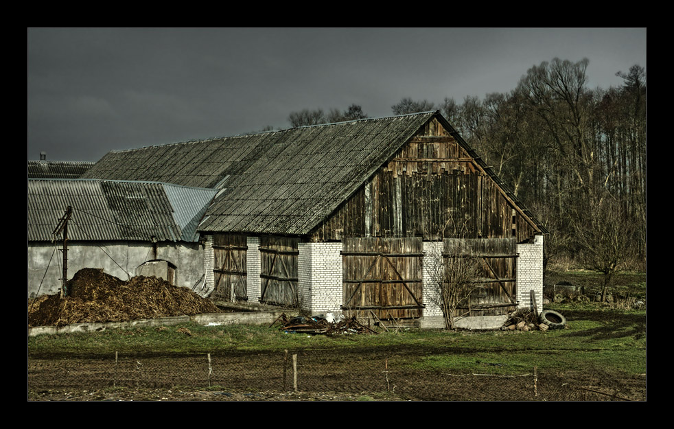 фото "Некрасивая..." метки: разное, 