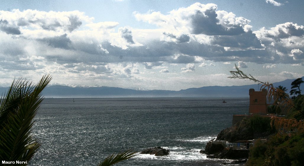 photo "Genoa's sea" tags: landscape, water