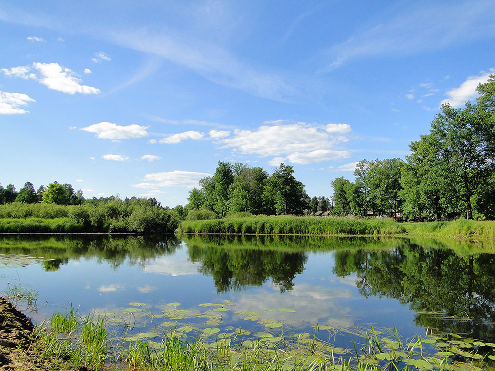 photo "***" tags: landscape, summer, water