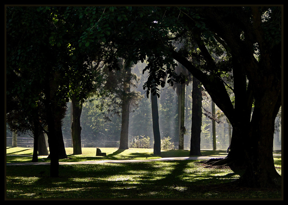 photo "Botanical Garden #1" tags: landscape, 