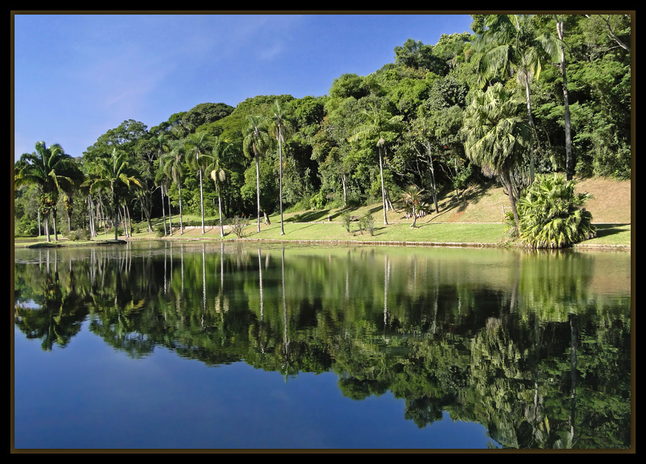 фото "Botanical Garden #2" метки: пейзаж, 