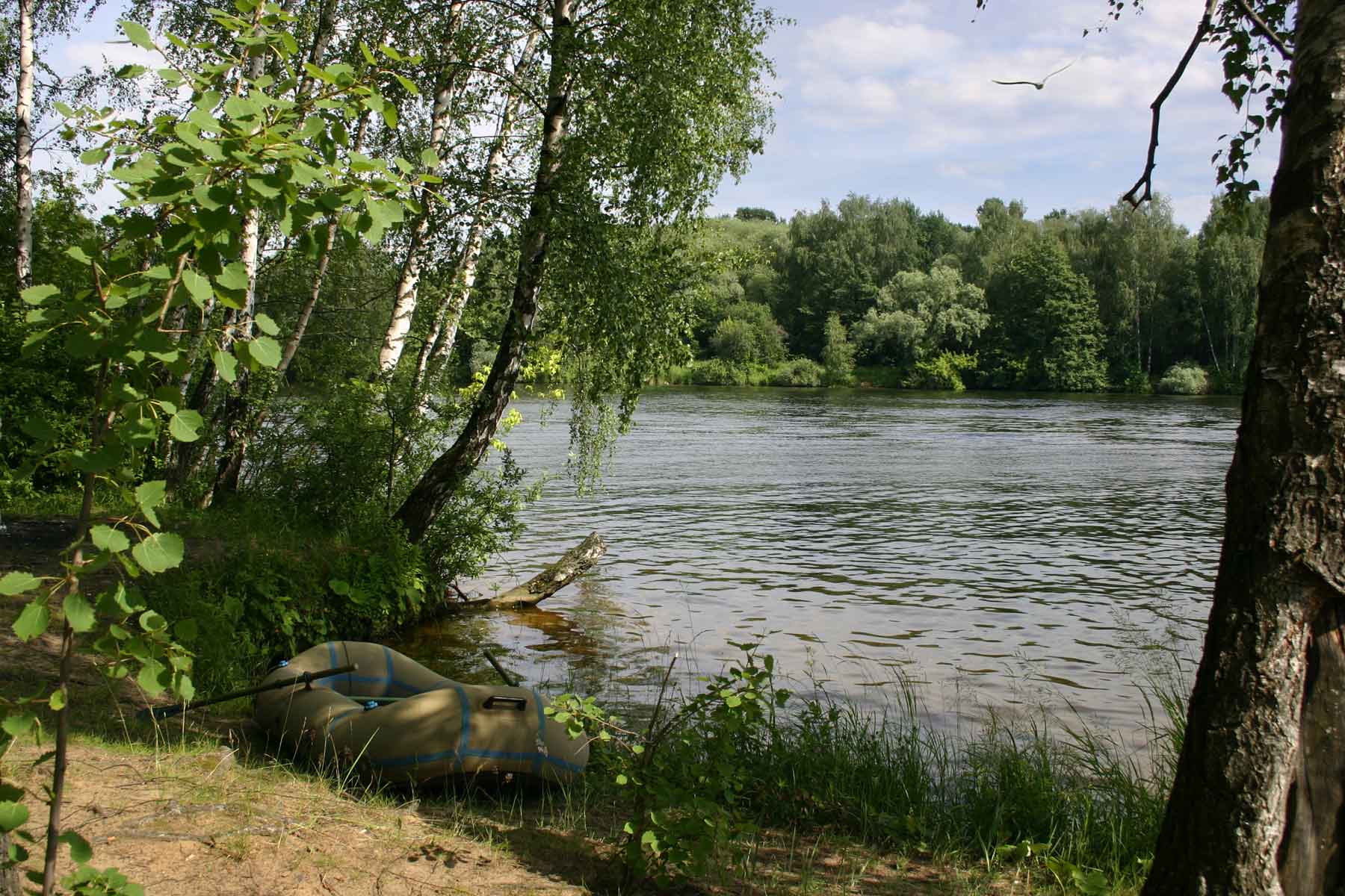 фото "Москва-река в Серебряном бору" метки: пейзаж, вода, лето