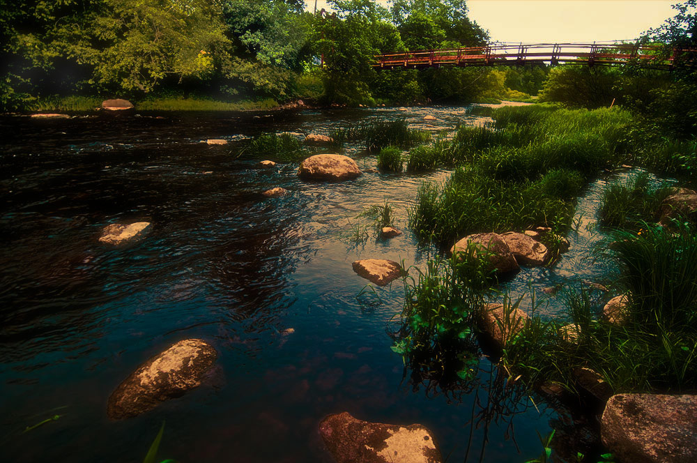 photo "***" tags: landscape, summer