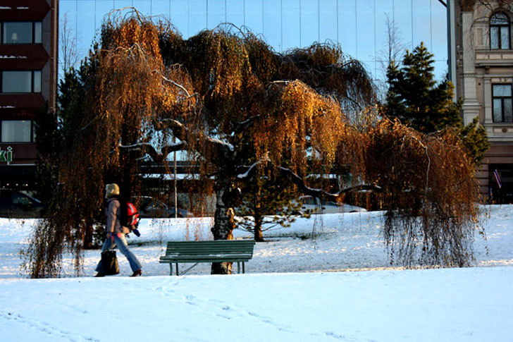 фото "что нам снег, что нам зной... часть 2" метки: пейзаж, город, зима
