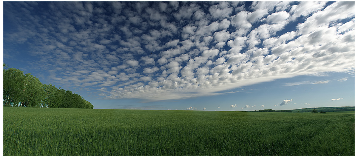 photo "***" tags: landscape, summer