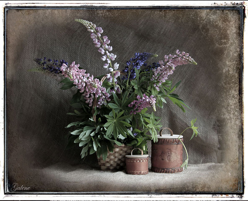 photo "***" tags: still life, 