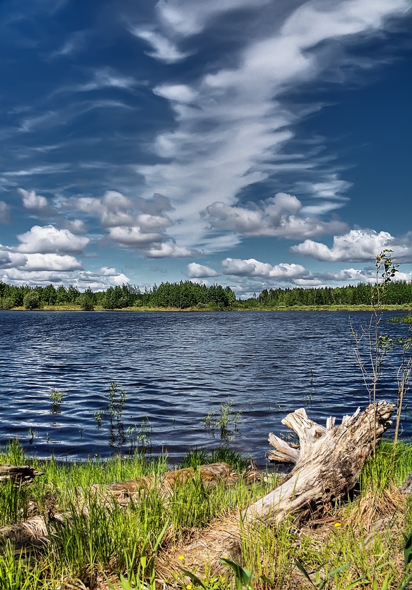 фото "Июньская" метки: пейзаж, лето