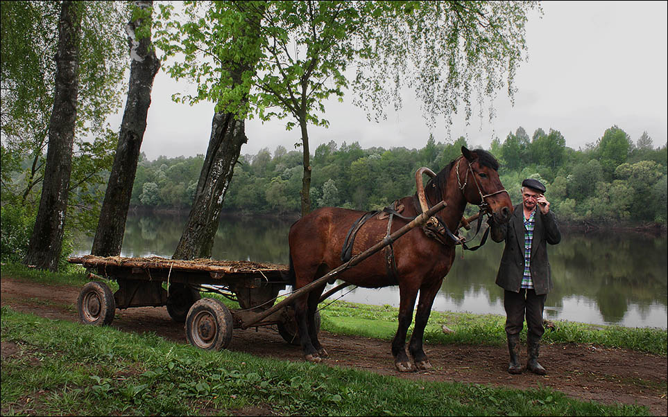 фото "И вам не хворать..." метки: природа, домашние животные