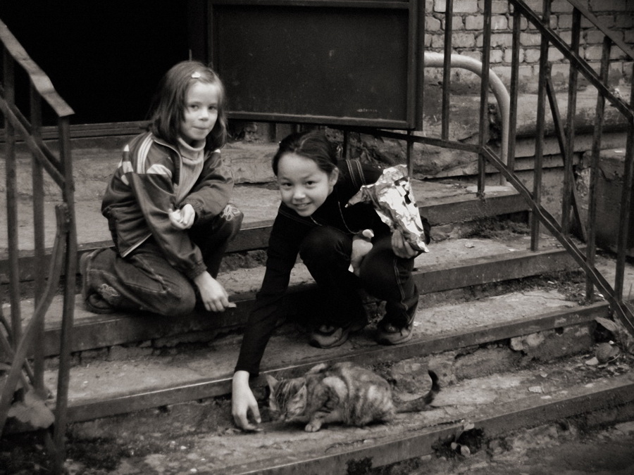 фото "Накормить кошку (2003)" метки: жанр, 