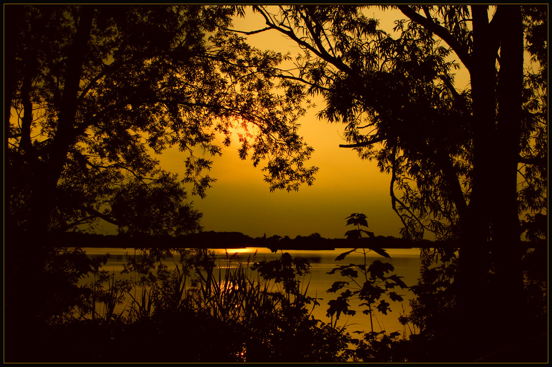 photo "GOLD" tags: landscape, sunset, water