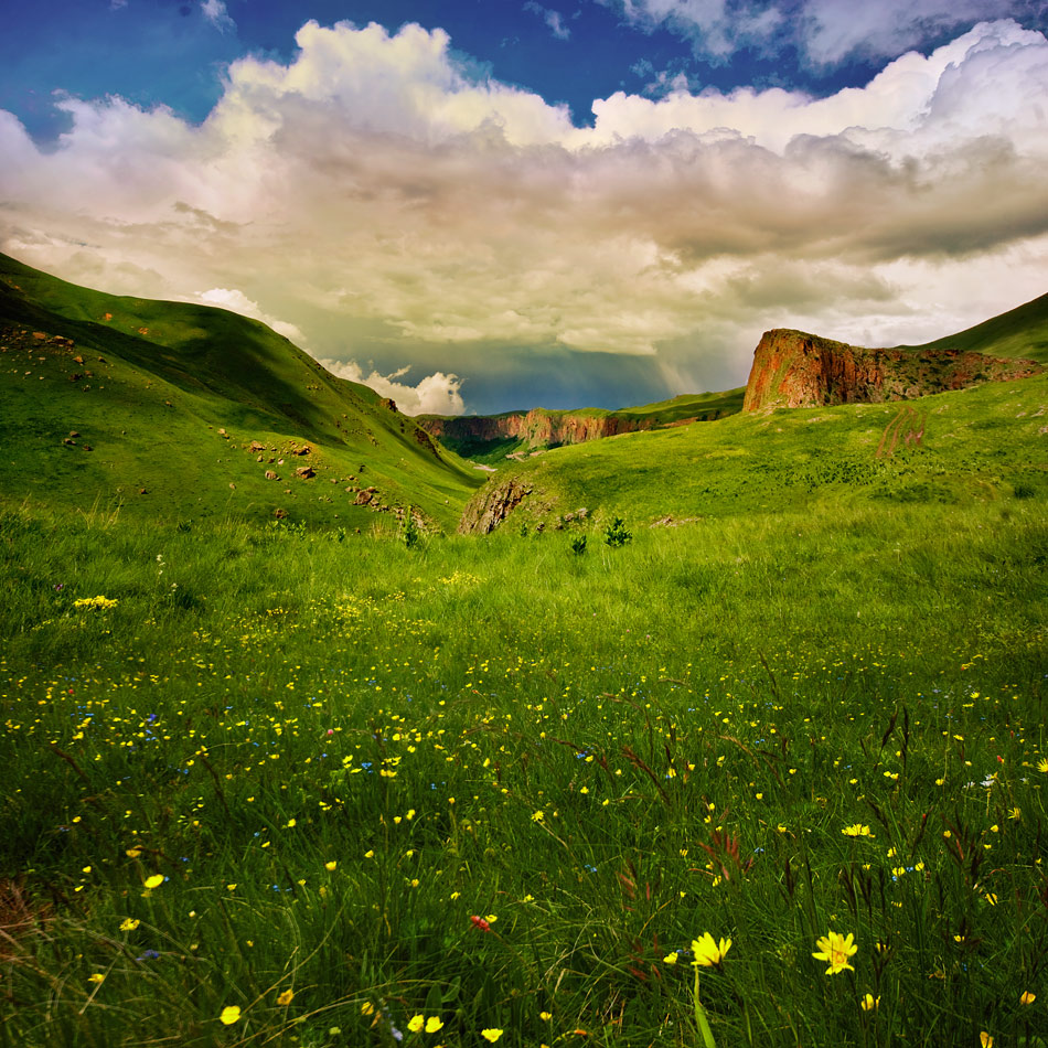 photo "The world of flowers and silence" tags: landscape, mountains