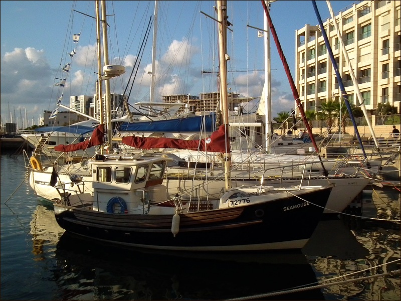 photo "Seamouse" tags: landscape, genre, water