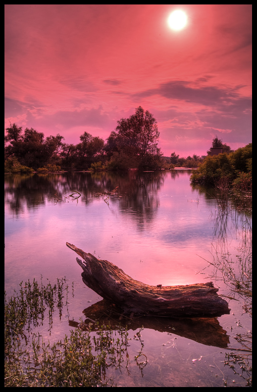 photo "Calm fire" tags: landscape, summer, sunset
