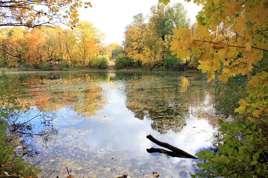 photo "***" tags: landscape, nature, autumn