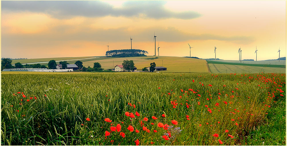 photo "***" tags: landscape, summer
