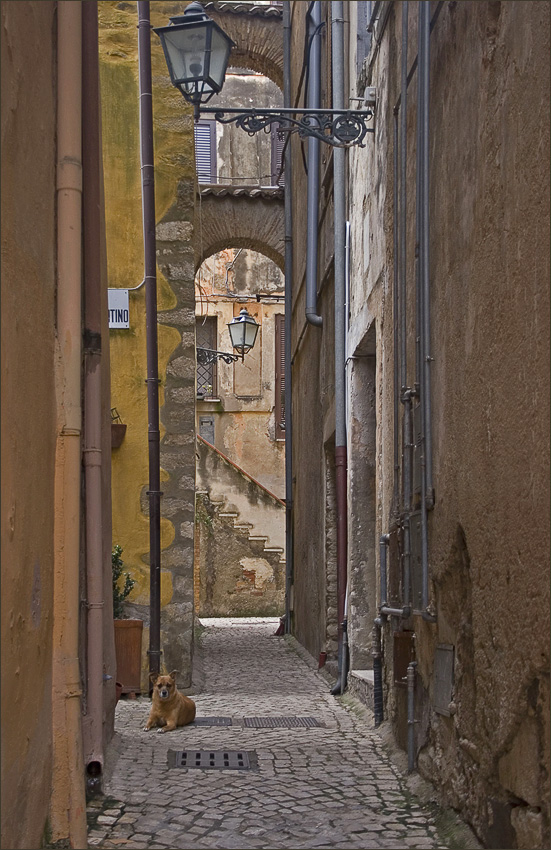 photo "Keeper of the old walls." tags: architecture, travel, landscape, Europe