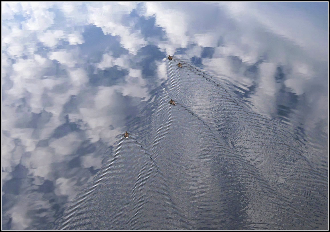 photo "floating in the sky" tags: , 