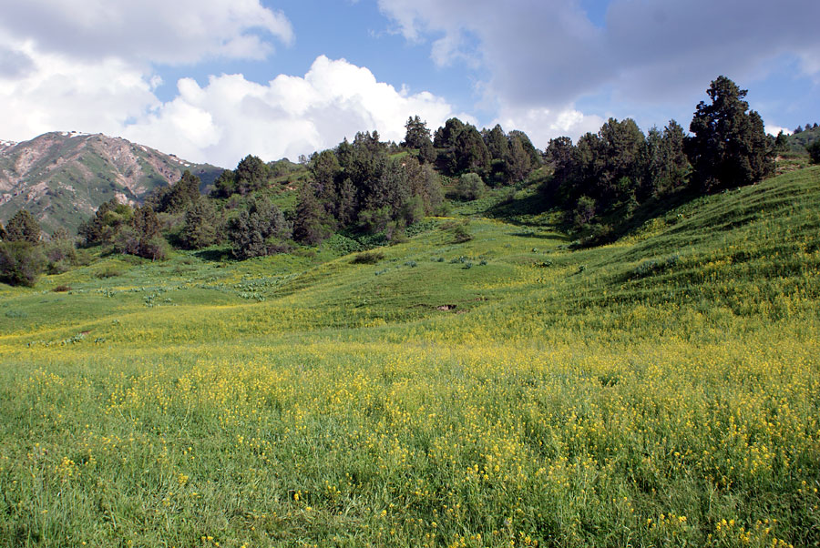 photo "***" tags: landscape, mountains, spring