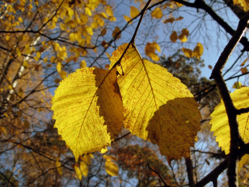 photo "осень,природа,пейзаж," tags: landscape, nature, autumn