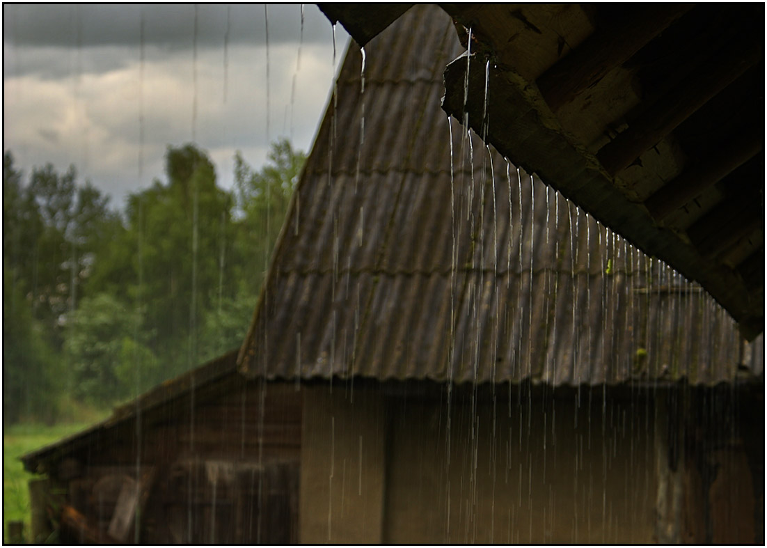 photo "Summer Rain" tags: landscape, summer