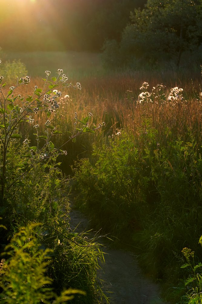 photo "***" tags: landscape, sunset