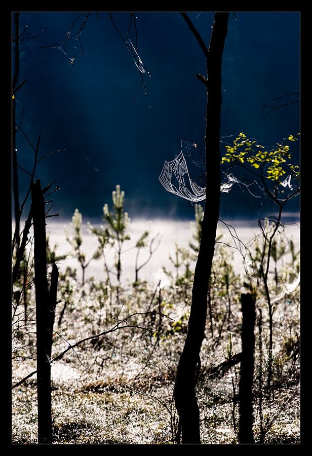 фото "***" метки: пейзаж, закат