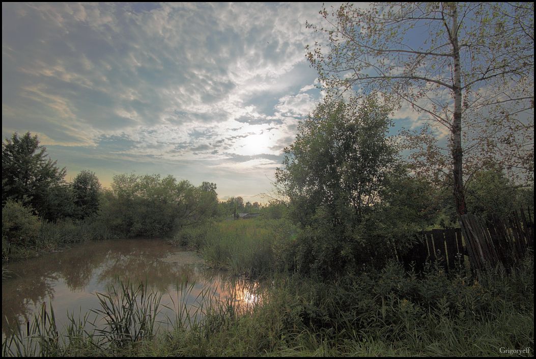 photo "Garden" tags: landscape, clouds