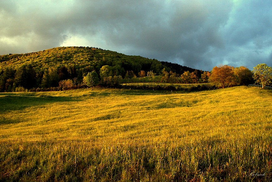 фото "evening" метки: пейзаж, 