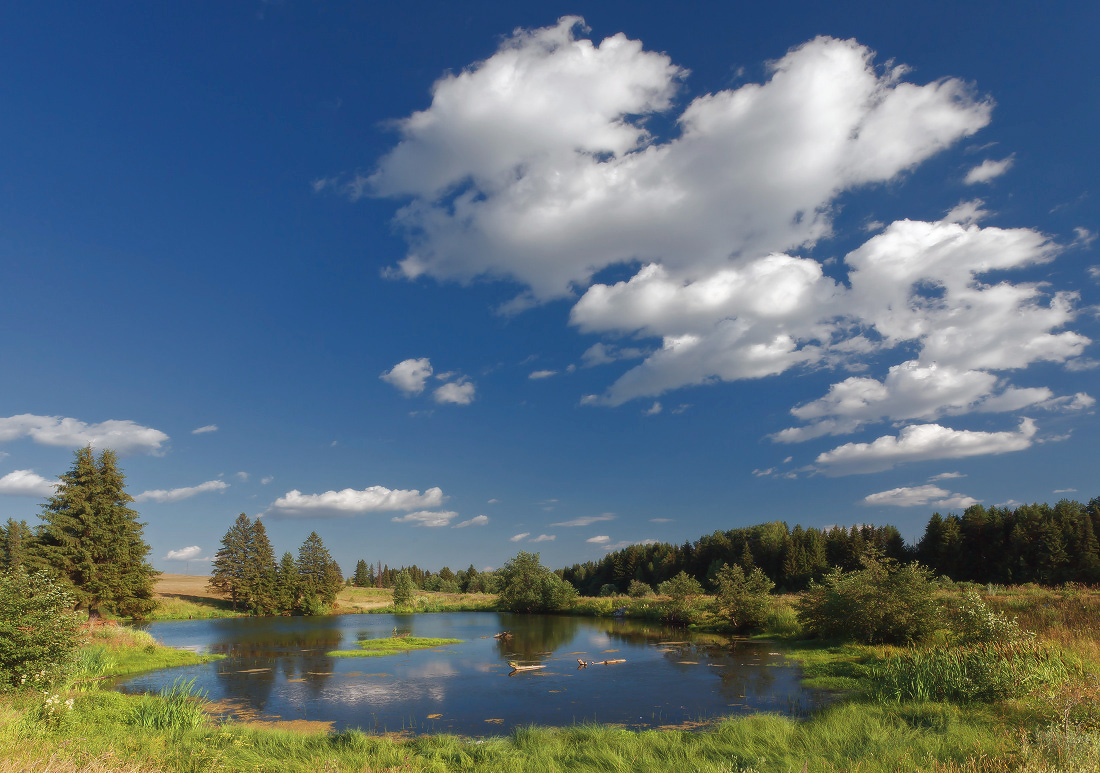 photo "***" tags: landscape, summer