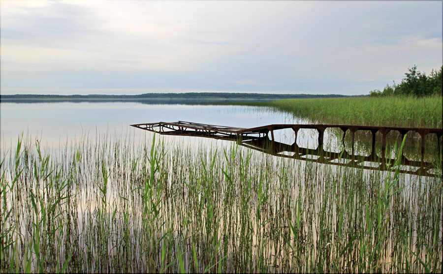 фото "На озере" метки: , 