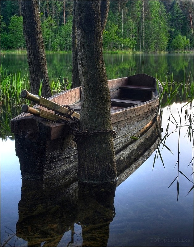 фото "замереть" метки: пейзаж, 