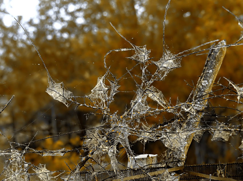 фото "***" метки: разное, 