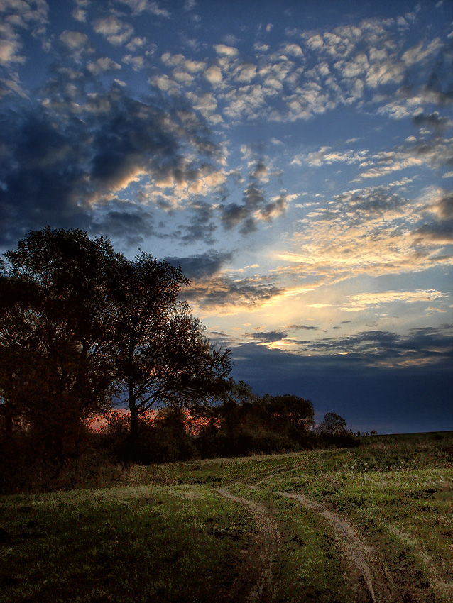 photo ".. In the search for the sun .." tags: landscape, sunset