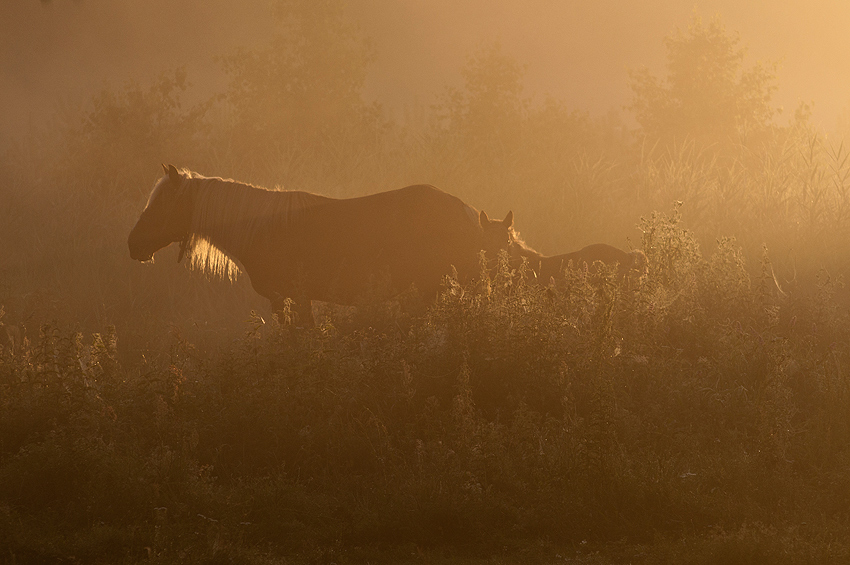 photo "....." tags: landscape, 