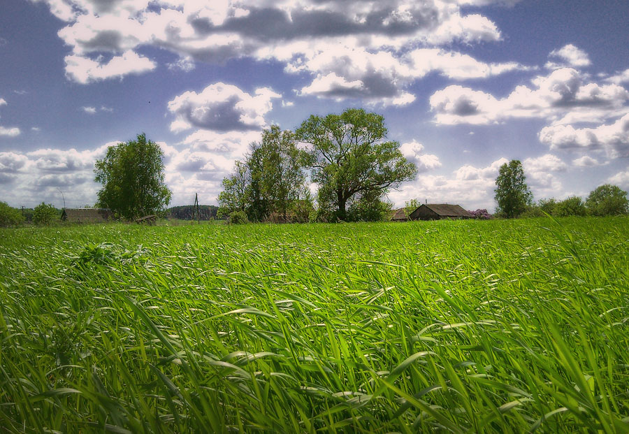 photo "***" tags: landscape, clouds, summer